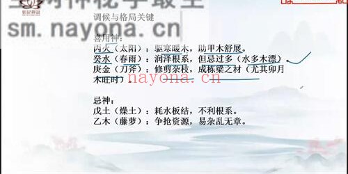 A2322辰南《十天干喜忌·月令调候·常见格局》视频28集