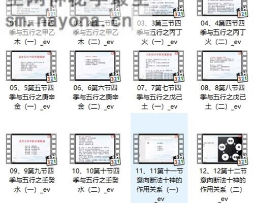 A2322辰南《十天干喜忌·月令调候·常见格局》视频28集