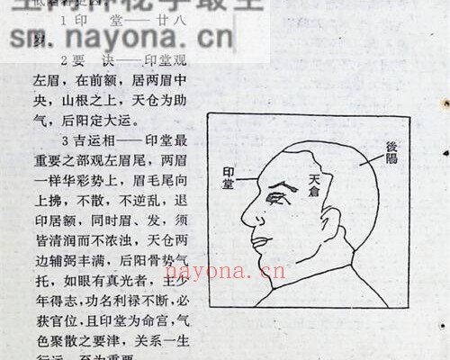 C383面相全书PDF电子书309页