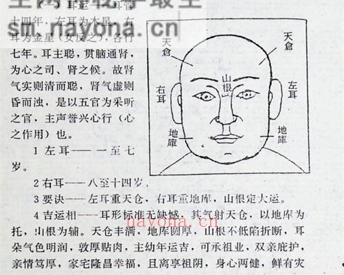 C383面相全书PDF电子书309页