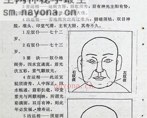C383面相全书PDF电子书309页