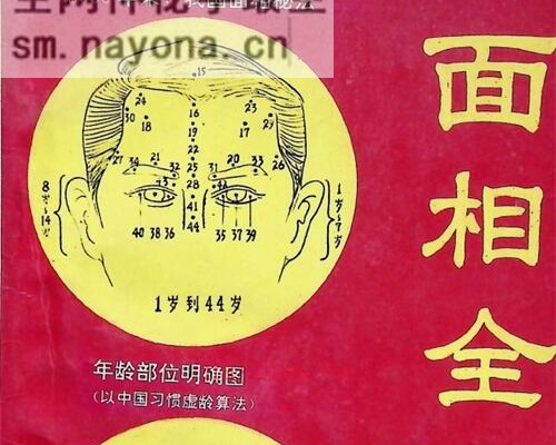 C383面相全书PDF电子书309页