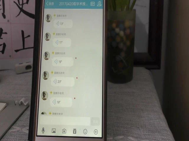 《雷麟宗形家观字术视频+课件》视频7集