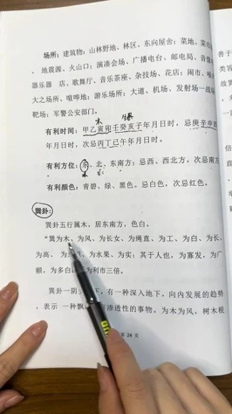 隽宁老师《梅花视频课程》视频89集