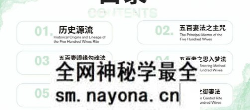 婆罗门五百妻秘法.pdf 仅法本Y28p