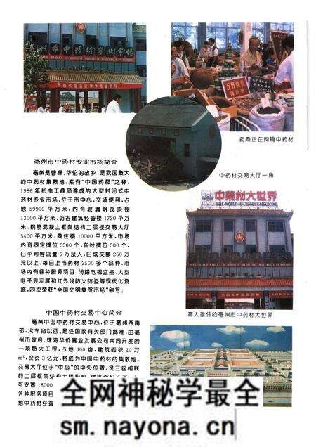 1996版亳州市工商行政管理志.pdf电子版_安徽省志预览图3 1996版亳州市工商行政管理志.pdf电子版_安徽省志预览图3