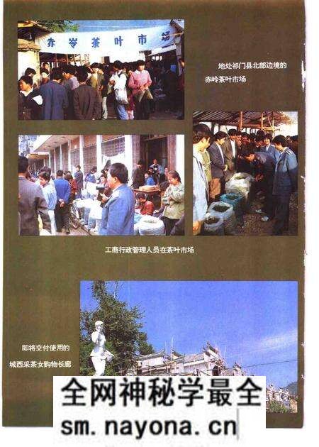 1995版祁门县工商行政管理志.pdf电子版_安徽省志预览图5