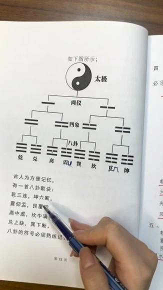 隽宁老师《梅花视频课程》视频89集