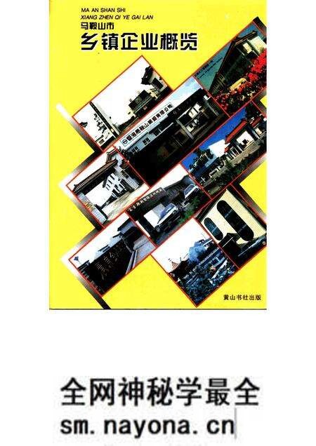 1996版马鞍山市乡镇企业概览.pdf电子版_安徽省志预览图
