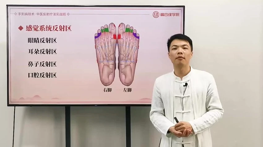 《中医反射疗法实战班》视频44集