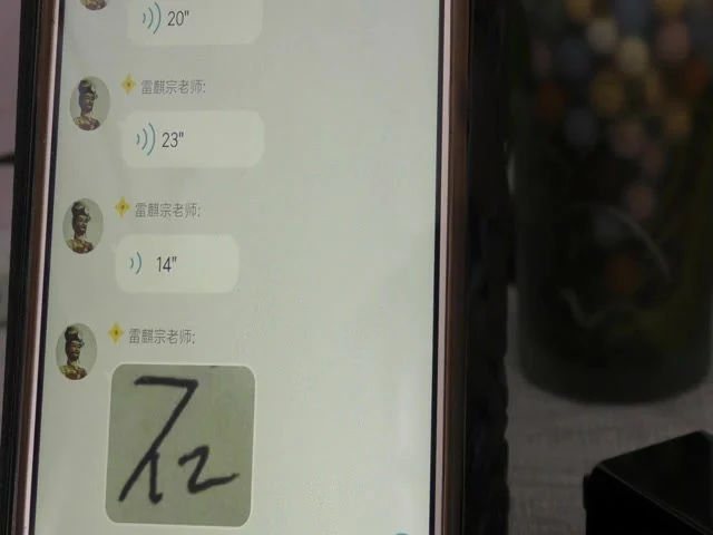 《雷麟宗形家观字术视频+课件》视频7集
