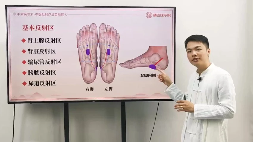 《中医反射疗法实战班》视频44集
