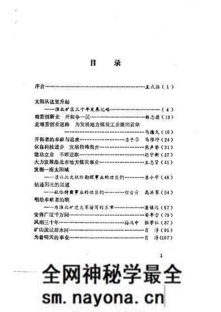 1991版太阳城  淮北煤矿三十年纪实.pdf电子版_安徽省志预览图2