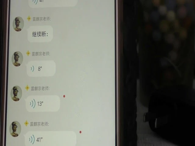 《雷麟宗形家观字术视频+课件》视频7集