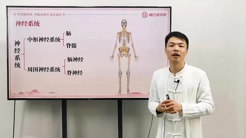 《中医反射疗法实战班》视频44集