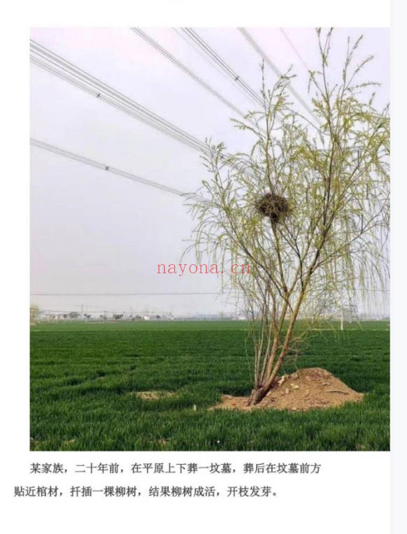 陈益峰形峦风水入坟直断断章2册2026版PDF