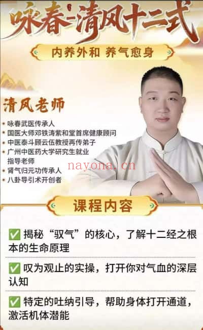 牛勇咏春清风十二式线上课45讲 咏春拳教程