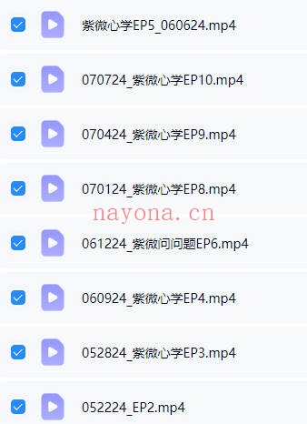 丁旭清2025紫薇斗数合集 视频+音频+课件全套
