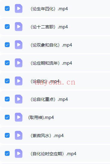 白衣紫微斗数30集视频+笔记文档 紫微教程