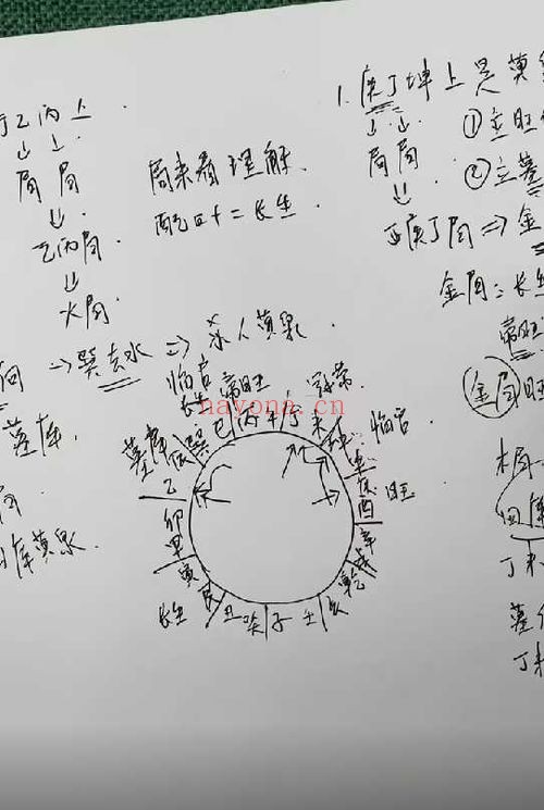 田老师十二长生立向罗盘系统使用教程47集视频