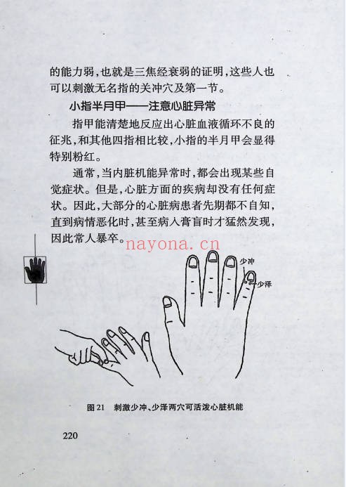 牧人手相术破译人生的秘密358页PDF 面相教程