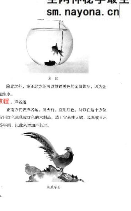杨智麟旺风水系列  旺运书.pdf 292页