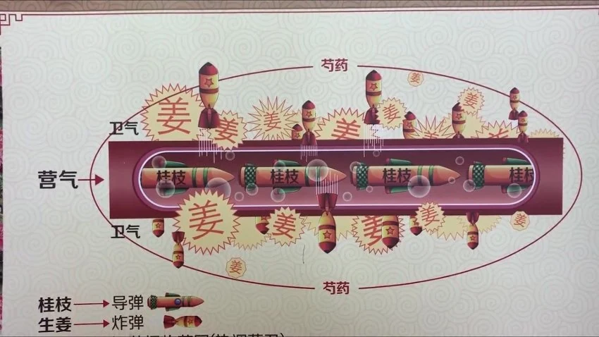 《火神门-跟我学扶阳》共21节课