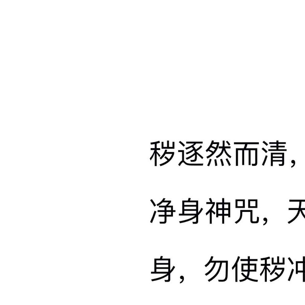 《邱派元帅符秘全》三十六帅书符仪轨 44页