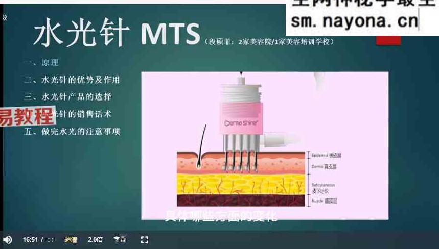 保养肌、问题肌线上课程视频31集