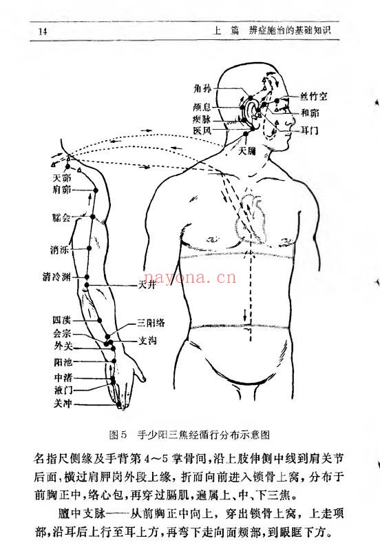 辨症施治358页PDF 中医辨证论治教程