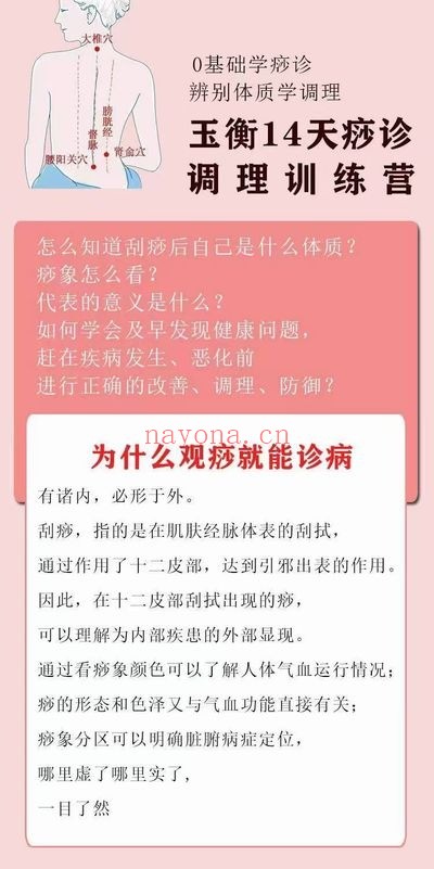 郑静霞玉衡中医痧诊调理训练营第九期视频课