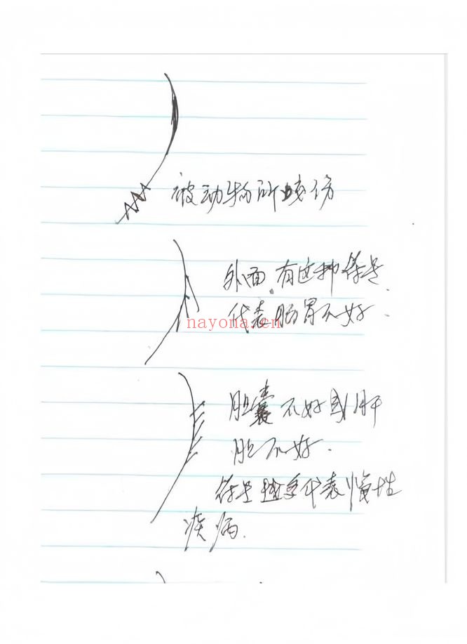 陈鼎龙陈大有西安派手相 秘传手相资料125页PDF