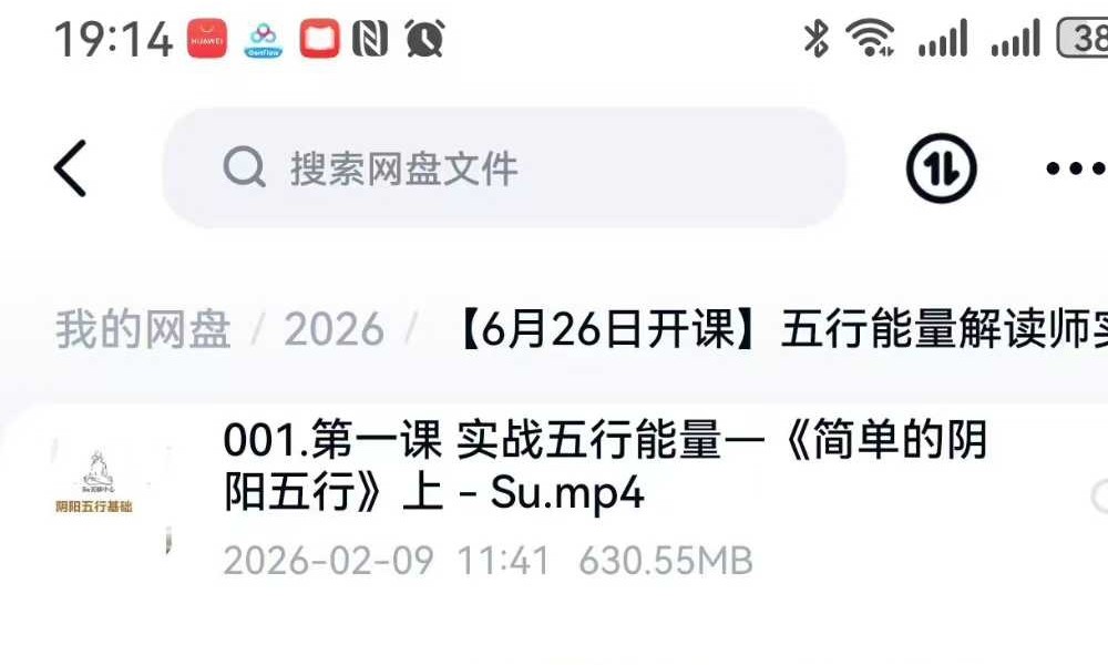 五行能量解读师实操班20集视频课程（身心全息 财富落地课程）