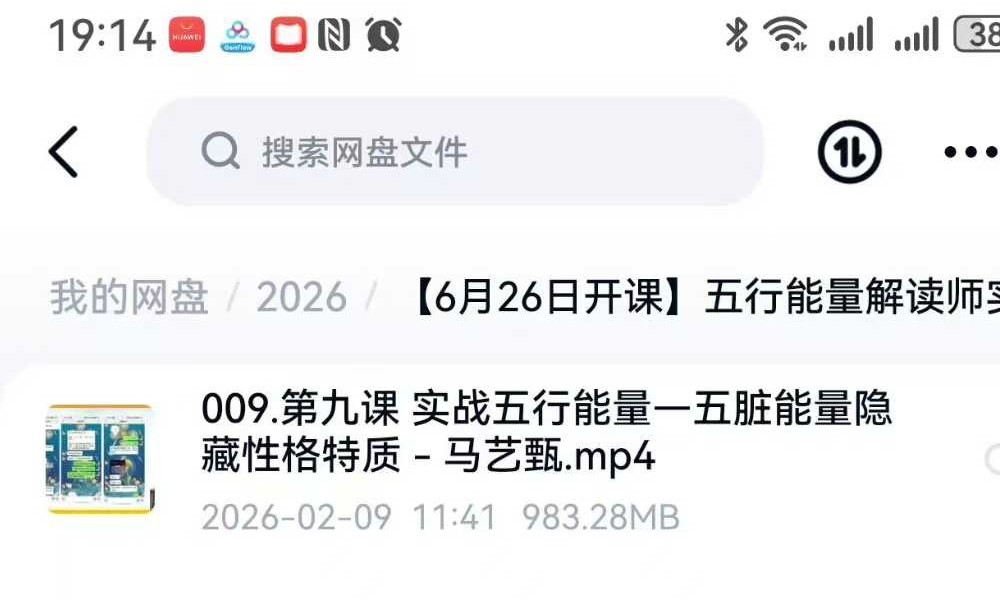 五行能量解读师实操班20集视频课程（身心全息 财富落地课程）