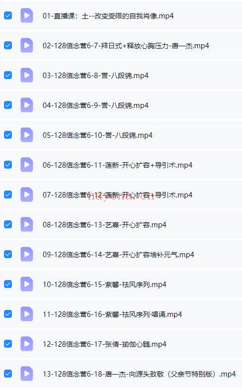 喜悦之境重塑信念易筋洗髓128天生命场域全息课程视频