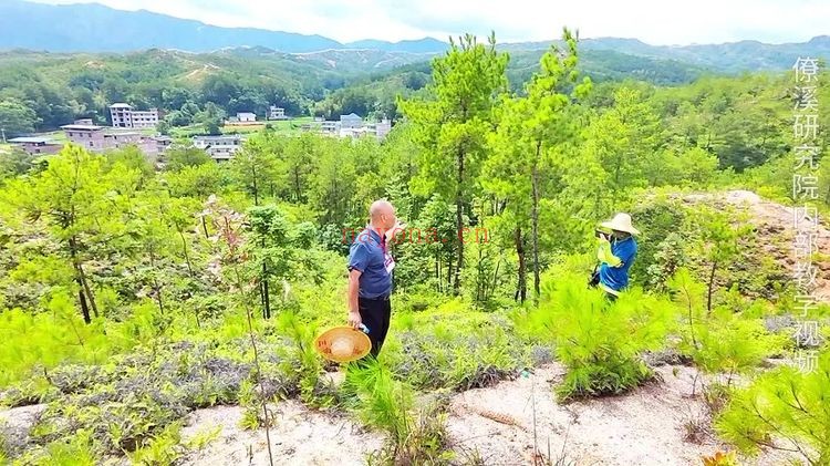 《曾治瀚老师形峦教学讲解视频》视频50集