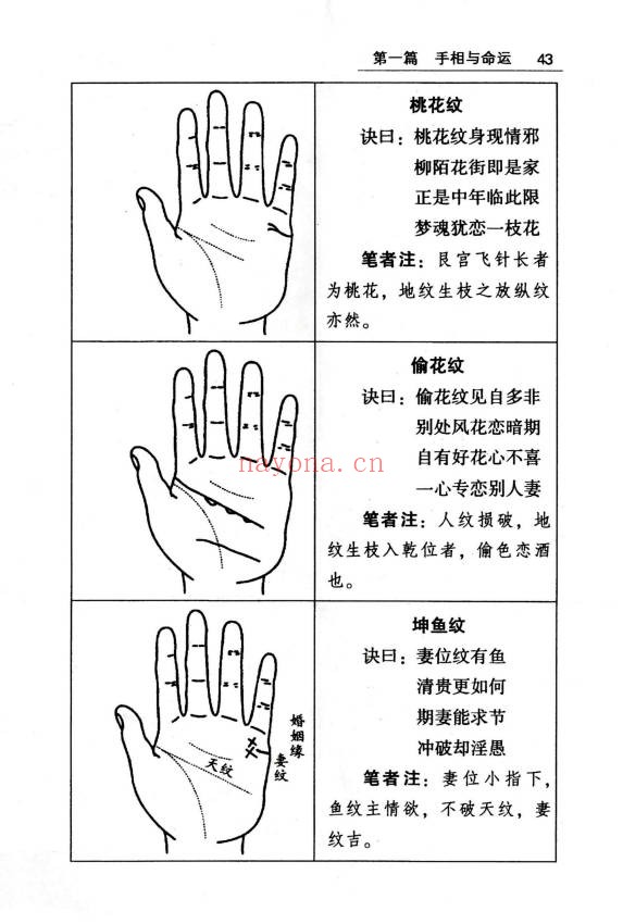 贾继茂盛手相之万相之首绝招秘籍388页PDF 手相教程