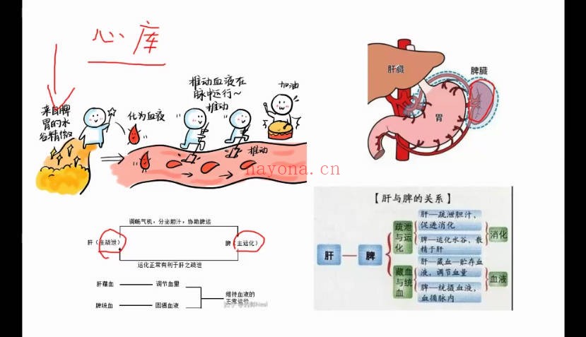 乾元老师紫微斗数48集视频 紫微教程