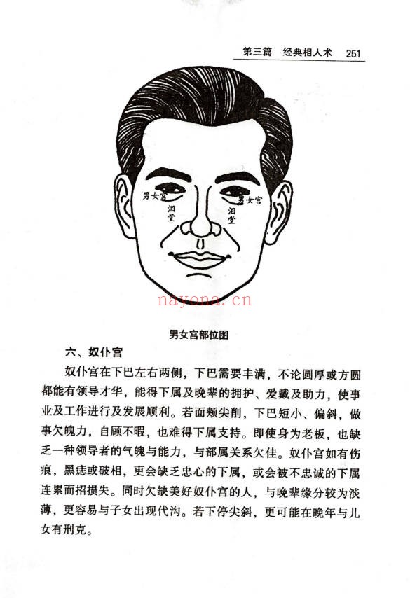 贾继茂盛手相之万相之首绝招秘籍388页PDF 手相教程