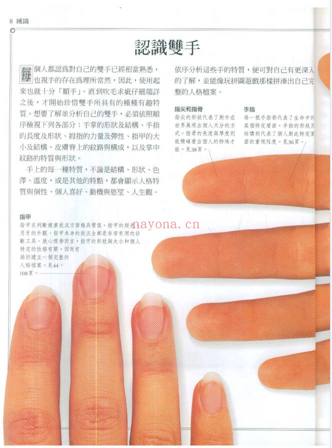 瑞德看懂手相好简单124页PDF 手相学教程
