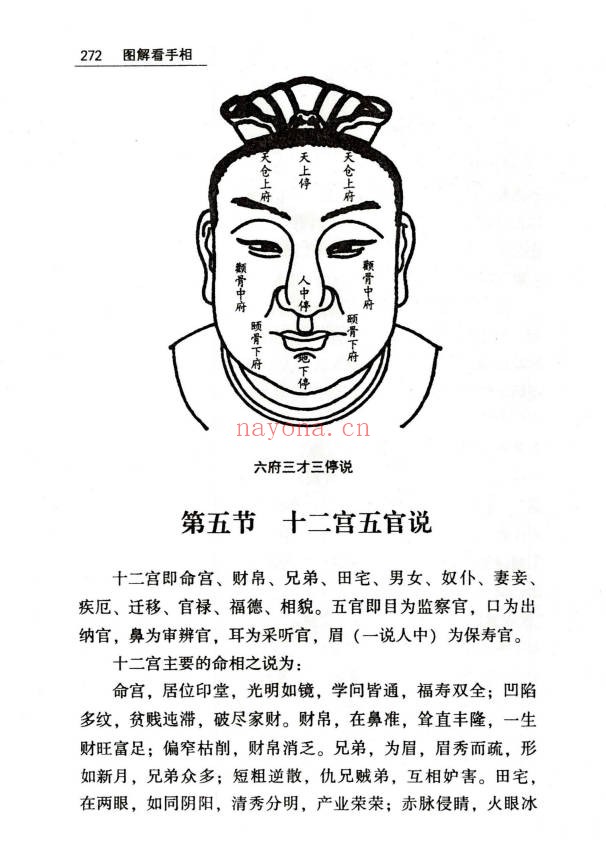 贾继茂盛手相之万相之首绝招秘籍388页PDF 手相教程