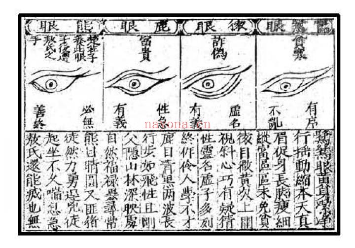 风鉴秘旨古本49页PDF 相法秘本