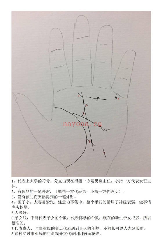 随缘手相53页PDF 手相掌纹解读教程