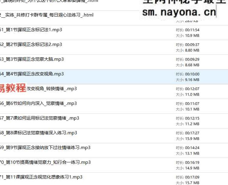 情绪三修_覌心譂实练进阶_明心覚启调频【尼诺艺术-107节课
