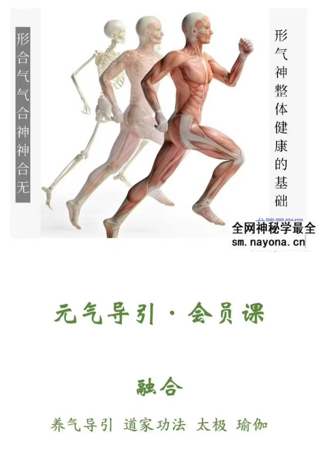 元气导引 形神筑基精讲 一 10月24集视频