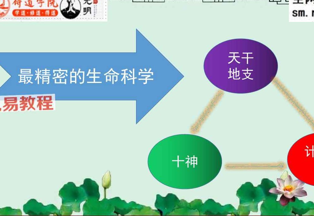 德镜 批八字钻石流程交付讲义（学）.pdf 60页