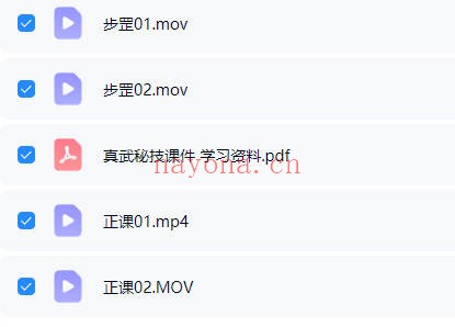白云混元六天真武秘籍4集视频+文档 道家秘法