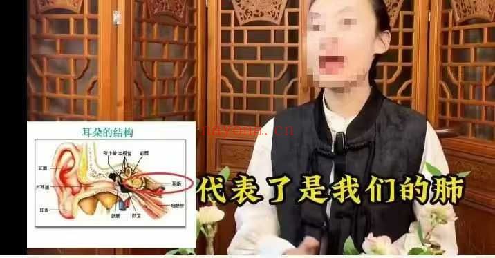 张恒嘉说面相50集视频 面相学教程