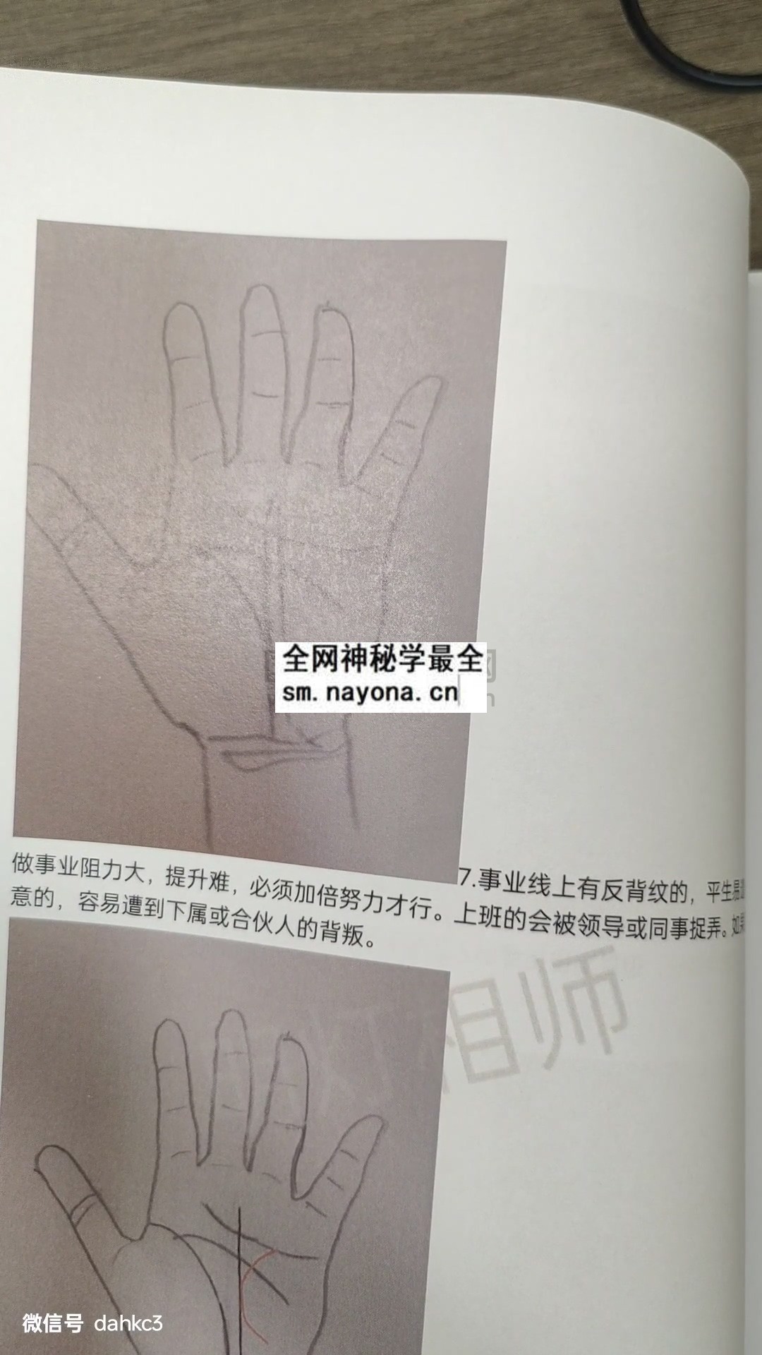 明灯手相教程第二期视频约2小时+资料 手相面相 第1张
