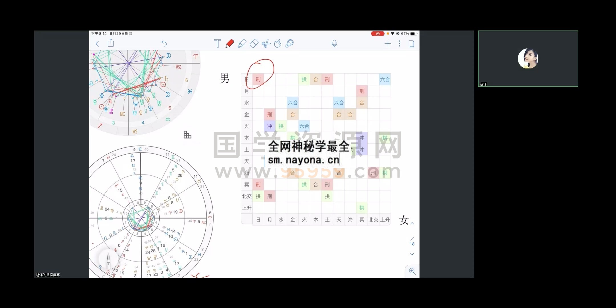 南风占星基础课视频56集+专业课视频45集 占卜预测 第1张-国学资源网 南风占星基础课视频56集+专业课视频45集 占卜预测 第1张